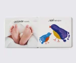 ⁦الرؤية اللمس الاحساس - الابداع⁩ – תמונה ⁦2⁩
