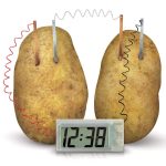 ⁦שעון תפוח אדמה⁩ – תמונה ⁦5⁩