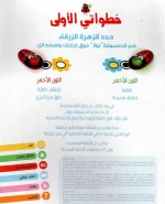 ⁦خطواتي الاولى - اين الحوت؟⁩ – תמונה ⁦3⁩